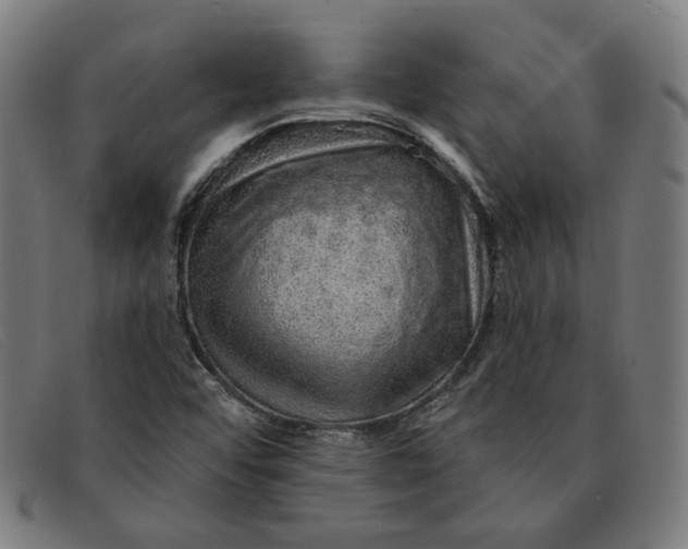 X0000091311456200708311347