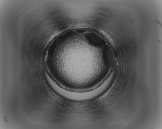 X0000091311457200708311347