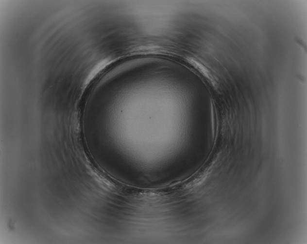 X0000091311458200708311347