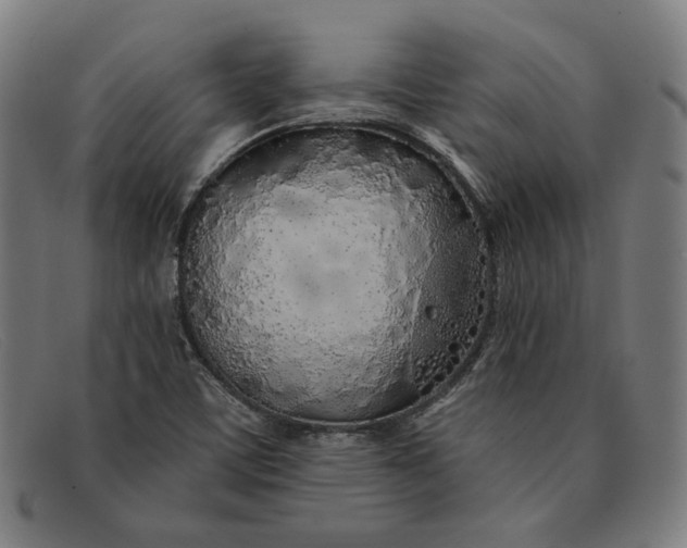 X0000091311459200708311347