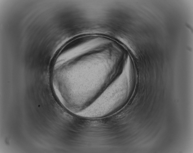 X0000091311460200708311347