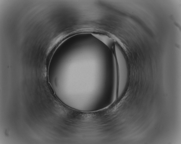 X0000091311461200708311347