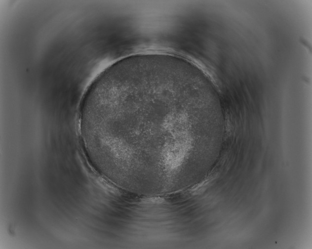 X0000091311462200708311347