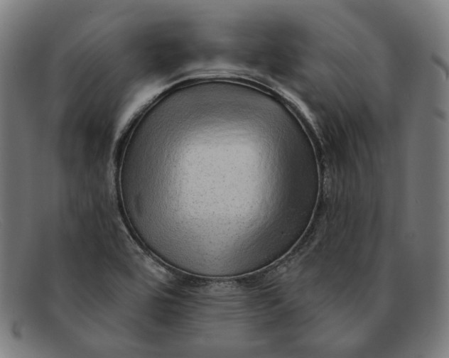 X0000091311464200708311347