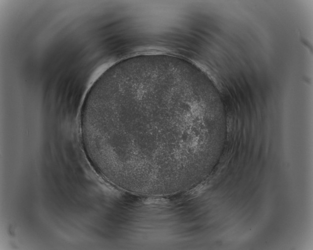 X0000091311466200708311347