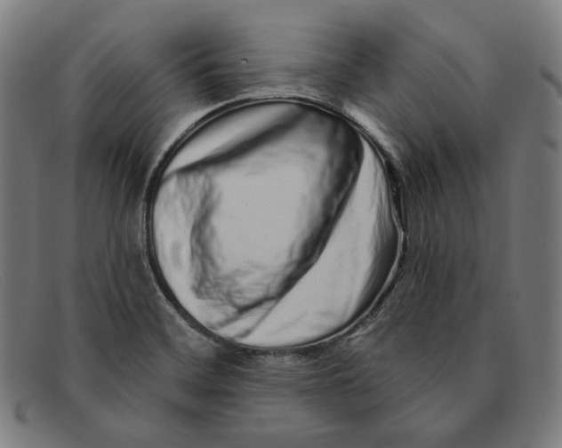 X0000091311468200708311347