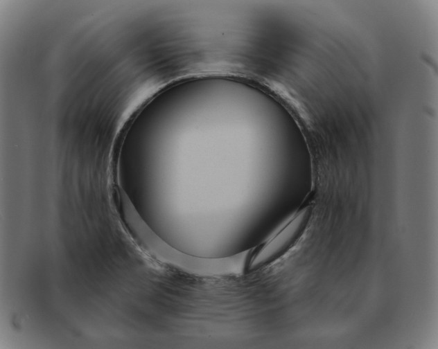 X0000091311469200708311347