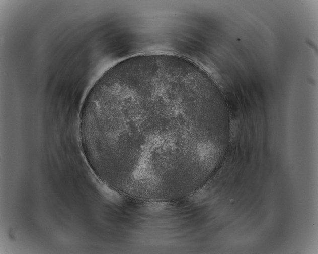 X0000091311470200708311347