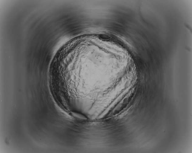 X0000091311471200708311347