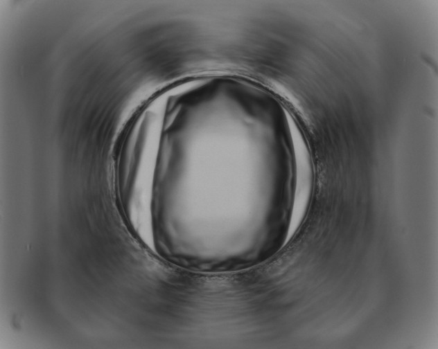 X0000091311472200708311347