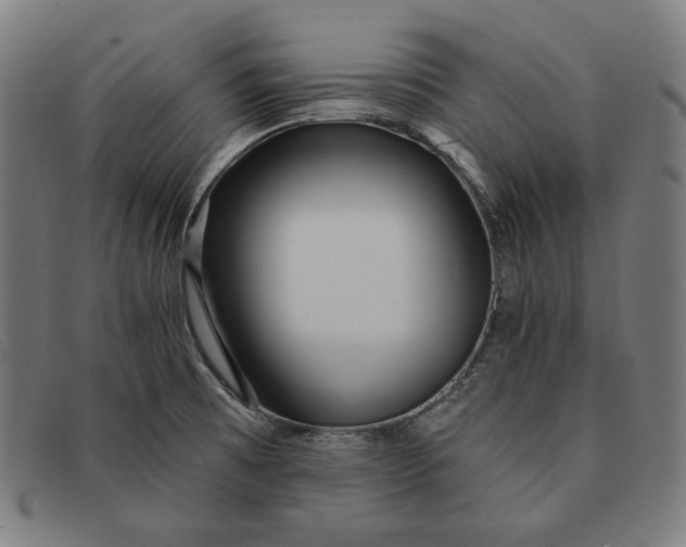 X0000091311473200708311347