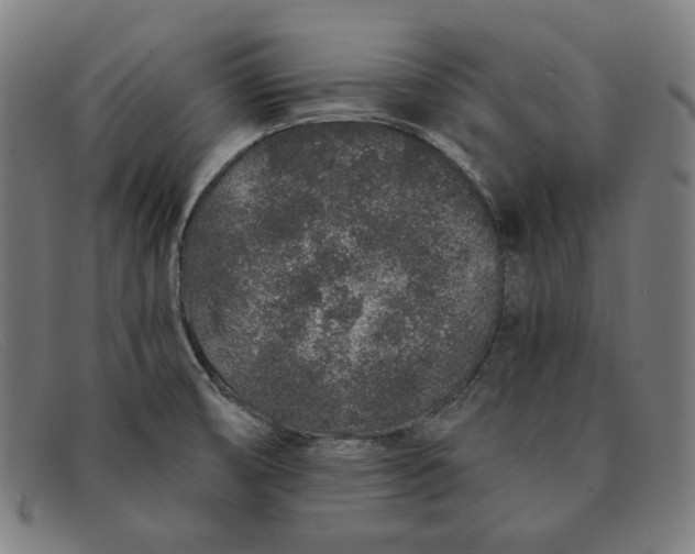 X0000091311474200708311347