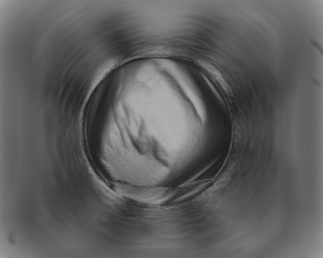 X0000091311475200708311347