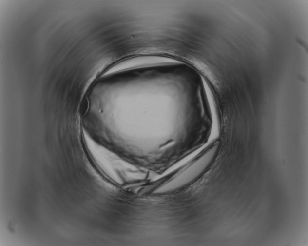 X0000091311476200708311347