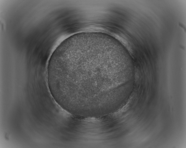 X0000091311478200708311347