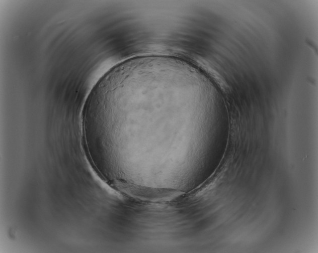 X0000091311479200708311347