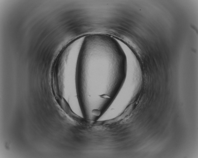 X0000091311480200708311347