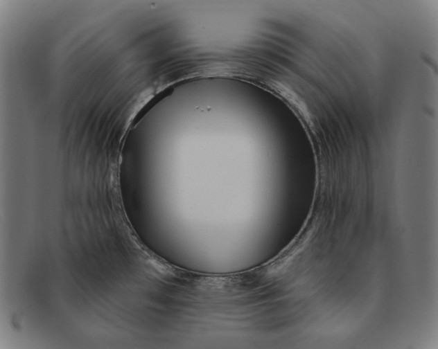 X0000091311481200708311347