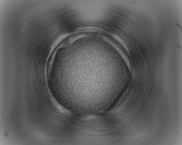 X0000091311482200708311347