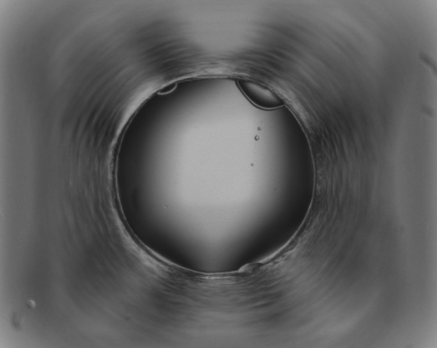 X0000091311483200708311347