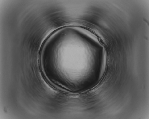 X0000091311484200708311347