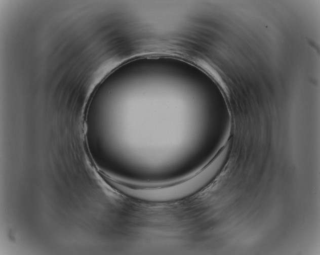 X0000091311485200708311347