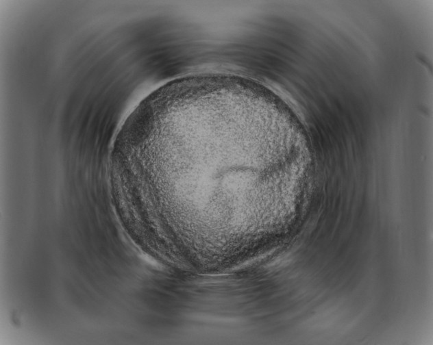 X0000091311486200708311347