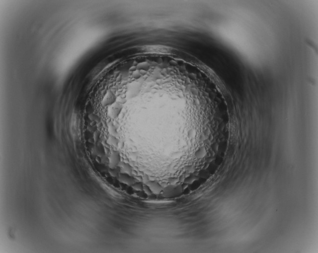 X0000091311487200708311347