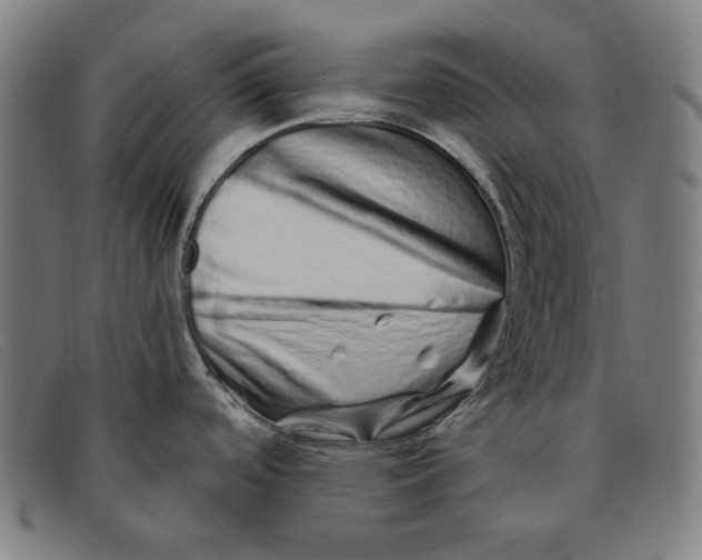 X0000091311488200708311347