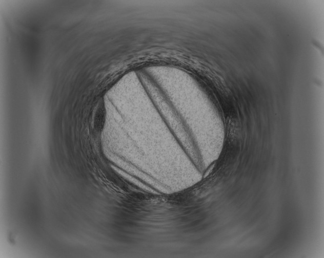 X0000091311489200708311346