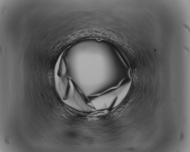 X0000091311490200708311346