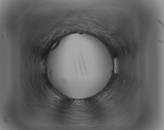 X0000091311491200708311346