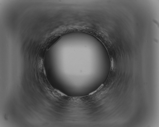 X0000091311492200708311346