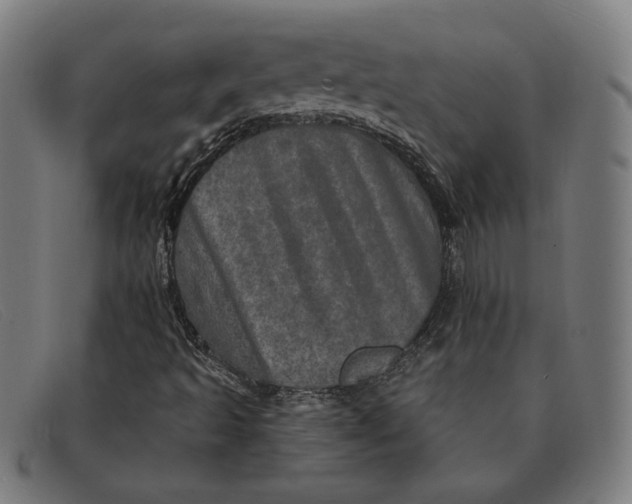 X0000091311493200708311346