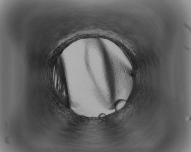 X0000091311494200708311346