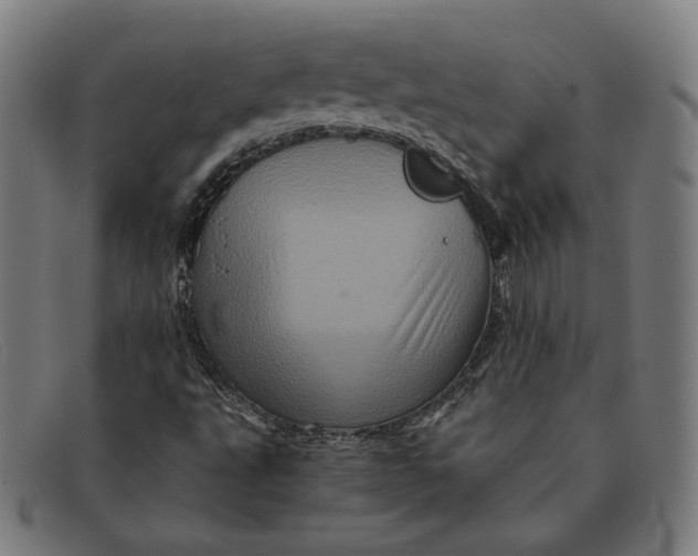 X0000091311495200708311346