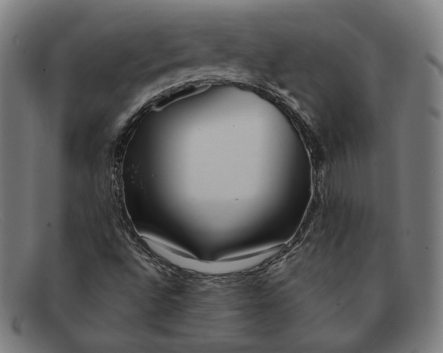 X0000091311496200708311346