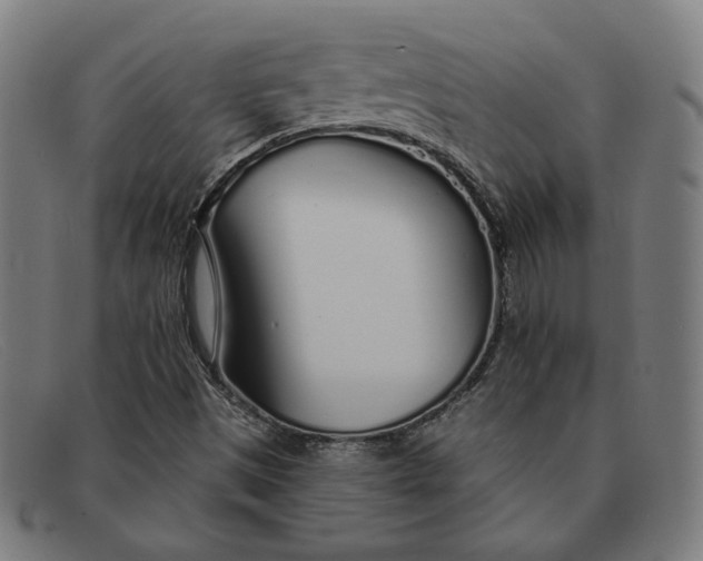 X0000091311497200708311346