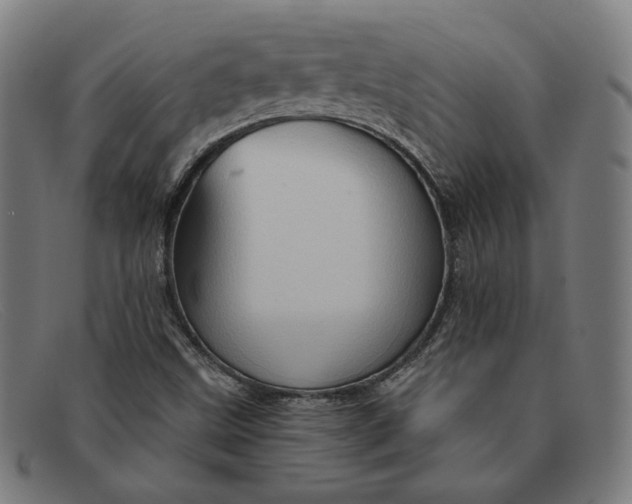 X0000091311499200708311346