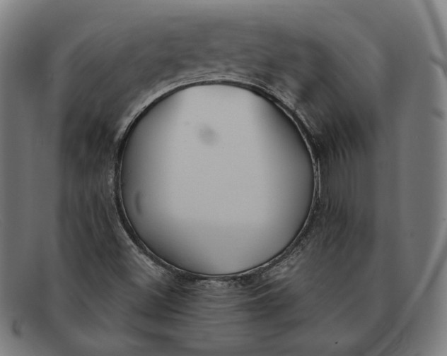 X0000091311500200708311346