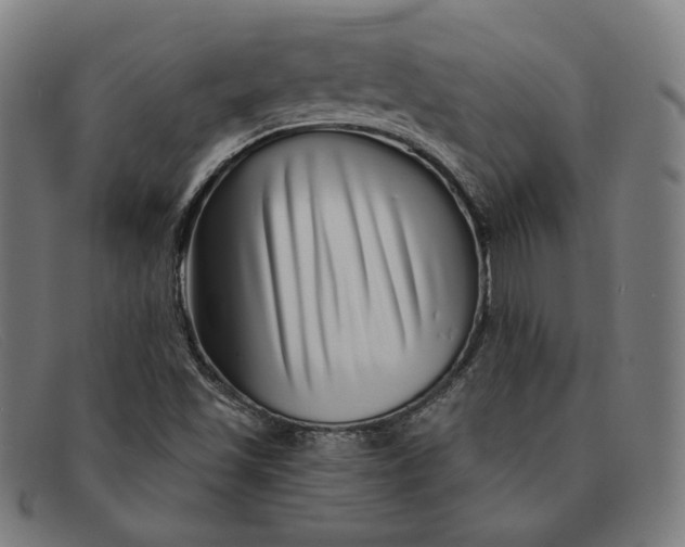 X0000091311501200708311346