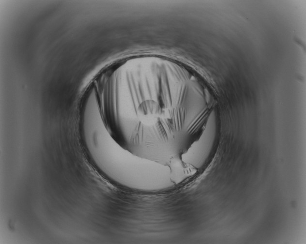 X0000091311502200708311346