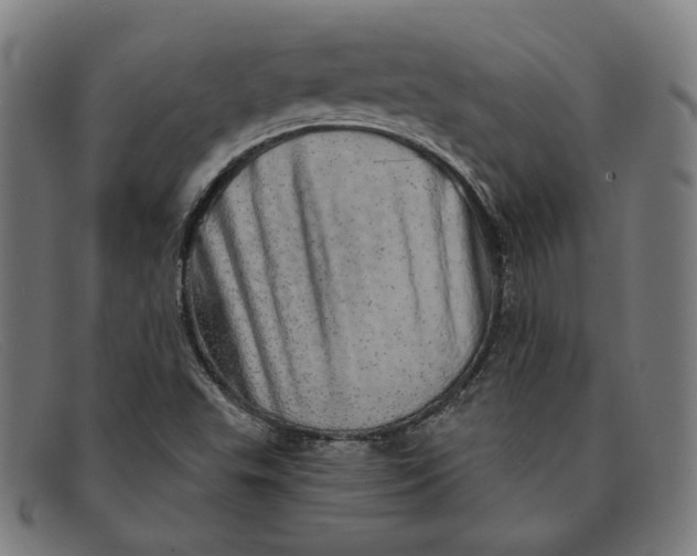 X0000091311503200708311346