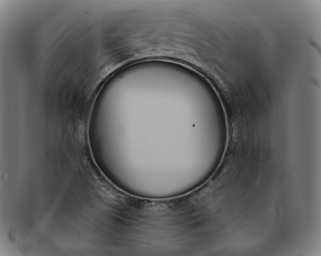 X0000091311505200708311346