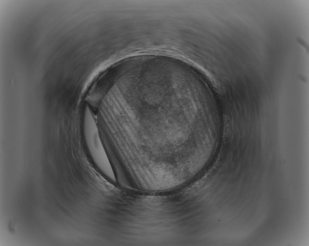 X0000091311506200708311346