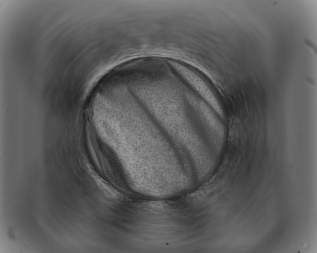 X0000091311507200708311346