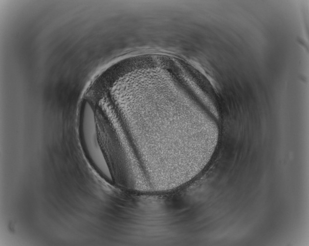 X0000091311508200708311346