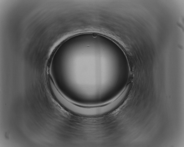 X0000091311510200708311346