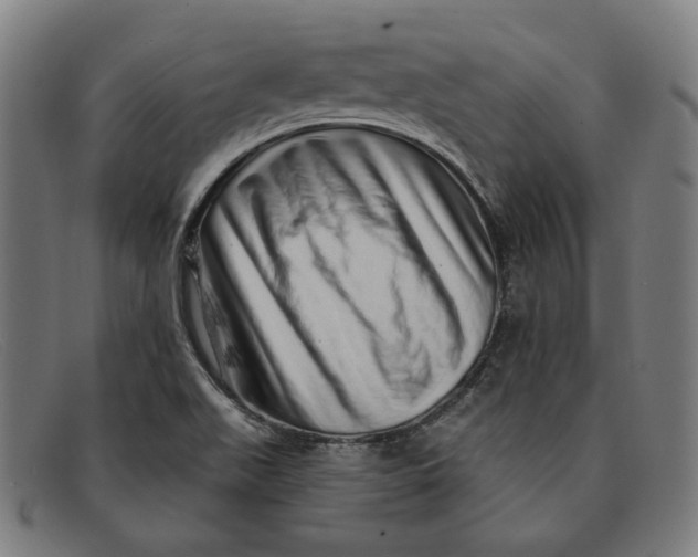 X0000091311511200708311346