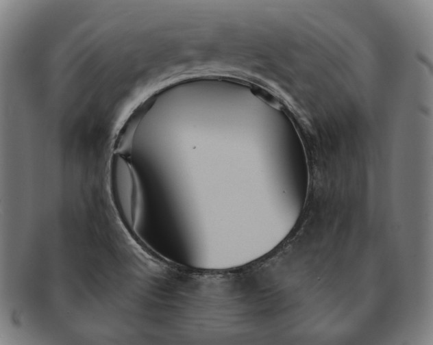 X0000091311512200708311346